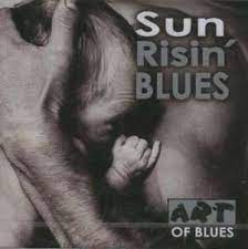 Sun Risin Blues - Broonzy B B-Mc Tell B W-Terry S Mfl i gruppen VI TIPSER / Julegavetips CD hos Bengans Skivbutik AB (4235846)