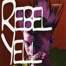 Rebel Yell - Billy Idol Damned Ian Dury Etc i gruppen CD / Pop hos Bengans Skivbutik AB (4237206)