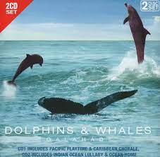 Dolphins & Whales - Pacific Playtime-Caribbean Chorale Mfl i gruppen CD / Pop-Rock hos Bengans Skivbutik AB (4237802)