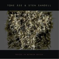 Tone Åse & Sten Sandell - Voices In Between Voices i gruppen VINYL / Jazz hos Bengans Skivbutik AB (4238463)