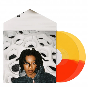 Little Simz - No Thank You (Red/Yellow) i gruppen VINYL / Hip Hop-Rap hos Bengans Skivbutik AB (4241526)