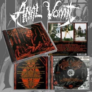 Anal Vomit - Demoniac Flagellations i gruppen CD / Metal/ Heavy metal hos Bengans Skivbutik AB (4242637)