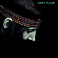 Palmer Bruce - The Cycle Is Complete i gruppen VINYL / Metal,Pop-Rock hos Bengans Skivbutik AB (4244948)