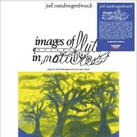 Vandroogenbroeck Joel - Images Of Flute In Nature i gruppen VINYL / Metal,Pop-Rock hos Bengans Skivbutik AB (4244974)