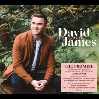 James David - The Promise i gruppen CD / Pop-Rock hos Bengans Skivbutik AB (4250992)