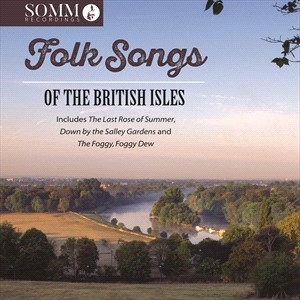 Various - Folksongs Of The British Isles i gruppen VI TIPSER / Julegavetips CD hos Bengans Skivbutik AB (4255552)