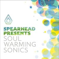 Various Artists - Soul Warming Sonics i gruppen VINYL / Pop-Rock hos Bengans Skivbutik AB (4258088)