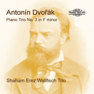 Dvorak Antonin - Piano Trio No. 3 In F Minor i gruppen VI TIPSER / Julegavetips CD hos Bengans Skivbutik AB (4258207)