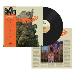 Synanthesia - Synanthesia (Vinyl Lp) i gruppen VINYL / Pop-Rock hos Bengans Skivbutik AB (4258406)