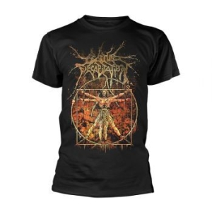 Cattle Decapitation - T/S Vitruvian (L) i gruppen Merchandise hos Bengans Skivbutik AB (4259809)