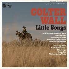 Wall Colter - Little Songs i gruppen Minishops / Colter Wall hos Bengans Skivbutik AB (4260847)