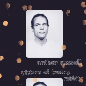 Arthur Russell - Picture Of Bunny Rabbit i gruppen VINYL / Pop-Rock hos Bengans Skivbutik AB (4260902)