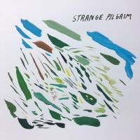 Strange Pilgrim - Strange Pilgrim i gruppen CD / Pop-Rock hos Bengans Skivbutik AB (4261113)