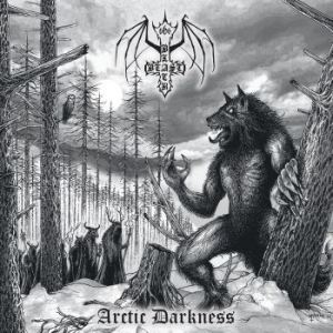 Black Beast - Arctic Darkness (Vinyl Lp) i gruppen VINYL / Metal/ Heavy metal hos Bengans Skivbutik AB (4261270)