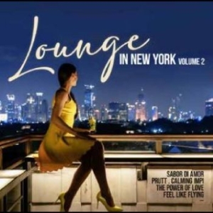 Various Artists - Lounge In New York Vol. 2 i gruppen Musikk / Dual Disc / Pop-Rock hos Bengans Skivbutik AB (4265513)