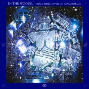 In The Woods - Three Times Seven On A Pilgrimage ( i gruppen VINYL / Metal/ Heavy metal hos Bengans Skivbutik AB (4266642)