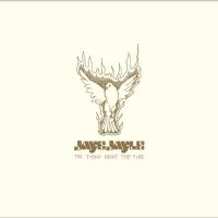 Jaye Jayle - The Thing About The Fire i gruppen VINYL / Metal hos Bengans Skivbutik AB (4275020)