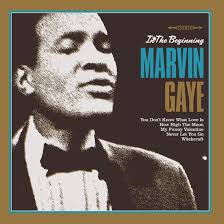 Gaye Marvin - In The Beginning (Vinyl Lp) i gruppen VINYL hos Bengans Skivbutik AB (4275775)