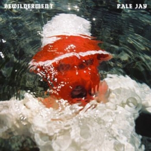 Pale Jay - Bewilderment i gruppen VINYL / RnB-Soul hos Bengans Skivbutik AB (4278454)