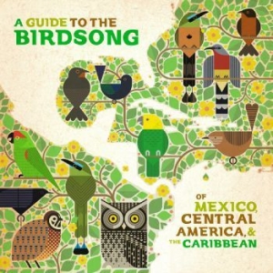 Various Artists - A Guide To The Birdsongs Of Mexico, i gruppen VINYL / World Music hos Bengans Skivbutik AB (4281690)