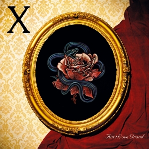 X - Ain't Love Grand i gruppen VINYL / Pop-Rock hos Bengans Skivbutik AB (4284652)