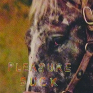 Spirit Of The Beehive - Pleasure Suck (Transparent Orange V i gruppen VINYL / Pop-Rock hos Bengans Skivbutik AB (4287751)