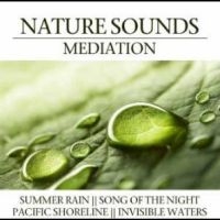 Various Artists - Nature Sounds Meditation i gruppen VI TIPSER / Julegavetips CD hos Bengans Skivbutik AB (4290593)