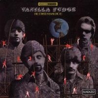 Vanilla Fudge - Renaissance i gruppen CD hos Bengans Skivbutik AB (4290982)