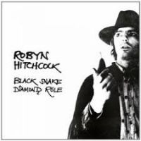 Hitchcock Robyn - Black Snake Diamond Role i gruppen CD hos Bengans Skivbutik AB (4293532)