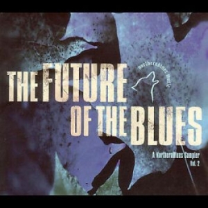 Blandade Artister - Future Of The Blues Vol 2 i gruppen VI TIPSER / Julegavetips CD hos Bengans Skivbutik AB (4295290)