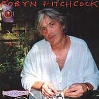 Hitchcock Robyn - Luxor i gruppen VI TIPSER / Julegavetips CD hos Bengans Skivbutik AB (4296058)