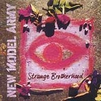 New Model Army - Strange Brotherhood i gruppen CD / Pop-Rock hos Bengans Skivbutik AB (4296173)