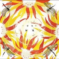 Alabaster Deplume - Come With Fierce Grace i gruppen CD / Jazz hos Bengans Skivbutik AB (4297446)