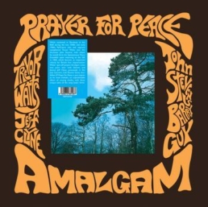 Amalgam - Prayer For Peace i gruppen VINYL / Pop-Rock,Annet hos Bengans Skivbutik AB (4298294)