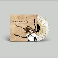 Splendidula - Splendidula (Milky Clear W/ Gold Sp i gruppen VINYL / Metal hos Bengans Skivbutik AB (4298317)