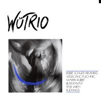 Wütrio - Wütrio i gruppen CD / Jazz hos Bengans Skivbutik AB (4298686)