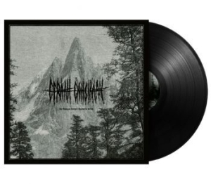 Efraah Enhsikaah - One Thousand Vultures Waiting To Be i gruppen VINYL / Metal hos Bengans Skivbutik AB (4300447)