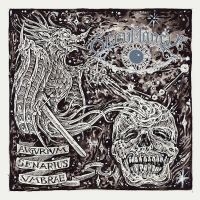 Occumancy - Augurium Senarius Umbrae i gruppen VINYL / Metal hos Bengans Skivbutik AB (4302103)