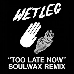 Wet Leg - Too Late Now (Soulwax Remix) i gruppen VINYL hos Bengans Skivbutik AB (4304528)