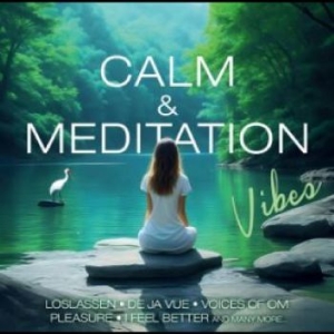 Various Artists - Calm & Meditation Vibes i gruppen Musikk / Dual Disc / Pop-Rock hos Bengans Skivbutik AB (4305560)