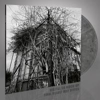 Impure Wilhelmina - Dead Decades (Marbled Vinyl Lp) i gruppen VINYL / Metal hos Bengans Skivbutik AB (4306216)