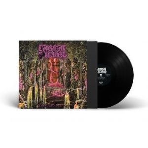 Carnal Tomb - Embalmed In Decay (Vinyl Lp) i gruppen VINYL / Metal hos Bengans Skivbutik AB (4308277)