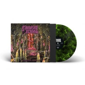 Carnal Tomb - Embalmed In Decay (Lime Marbled Vin i gruppen VINYL / Metal hos Bengans Skivbutik AB (4308278)