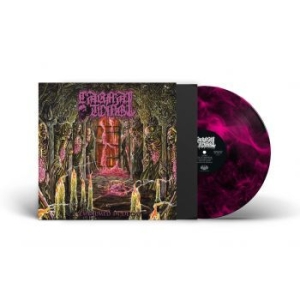 Carnal Tomb - Embalmed In Decay (Magenta Marbled i gruppen VINYL / Metal hos Bengans Skivbutik AB (4308279)