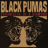 Black Pumas - Chronicles Of A Diamond (Clear Vinyl) i gruppen Minishops / Black Pumas hos Bengans Skivbutik AB (4310808)