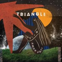 TRIANGLE - AMOR FATI i gruppen VINYL / Pop-Rock hos Bengans Skivbutik AB (4312502)