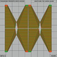 PASSARANI PRESENTS DAVID WOODS - SHUFFLING THE CARDS AGAIN i gruppen VINYL / Pop-Rock hos Bengans Skivbutik AB (4312519)