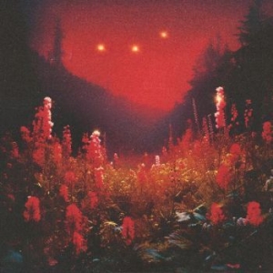 Silent Planet - Superbloom i gruppen CD / Metal hos Bengans Skivbutik AB (4312578)