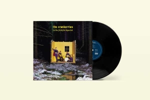 THE CRANBERRIES - TO THE FAITHFUL DEPARTED i gruppen VINYL / Irsk Musikkk,Pop-Rock hos Bengans Skivbutik AB (4312596)