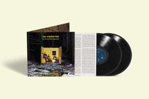 THE CRANBERRIES - TO THE FAITHFUL DEPARTED (2LP) i gruppen VINYL / Irsk Musikkk,Pop-Rock hos Bengans Skivbutik AB (4312597)